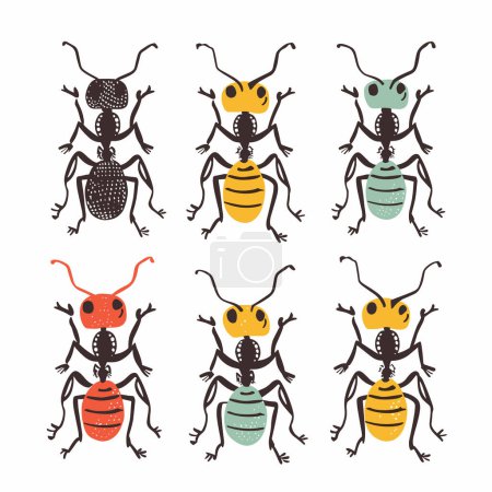 Collection stylized beetle illustrations various patterns colors. Set nine cartoon beetles, unique design. Graphic design insects isolated white background entomology enthusiasts