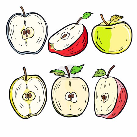 Handdrawn apples cut half showcase seeds varying colors. Cartoony style depicts red, yellow, green apples, half whole. Healthy fruit, fresh produce theme, colorful apple illustration