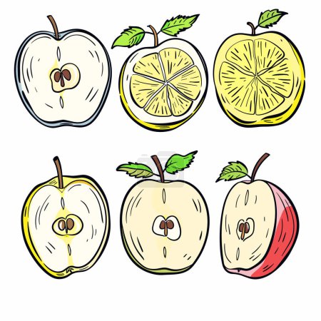 Ilustraciones de frutas hechas a mano con limones de manzanas en rodajas, detalles de colores vibrantes. Dibujos de dibujos animados diseño de menú de material educativo perfecto. Frutas frescas, cortadas a la mitad, mostrando semillas jugosas