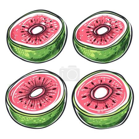 Cuatro rebanadas de kiwi, frescas mitades jugosas de kiwi, ilustración de corte maduro. Semillas de fruta dibujadas a mano piel verde, dibujo de fruta de verano, pulpa rosa. Corte transversal colorido, dibujo de alimentos saludables, tropical