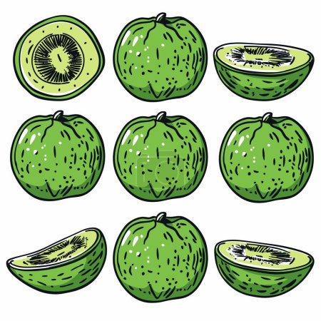 Handgezeichnete grüne Kiwifrüchte skizzieren, halbierte Scheibenquerschnitt-Textur. Frische saftige Kiwi-Illustrationen, künstlerische Doodle Line Art reife Früchte. Cartoon-Kiwi-Set ganze Stück lebendiges Grün