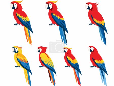 Bunte Papageien hocken da, leuchtend rote, gelbe, blaue Federn, exotische Vögel, mehrere Posen. Leuchtend farbige tropische Aras, Illustrationen isolierten weißen Hintergrund, Vogelthema. Scharlachrote Aras