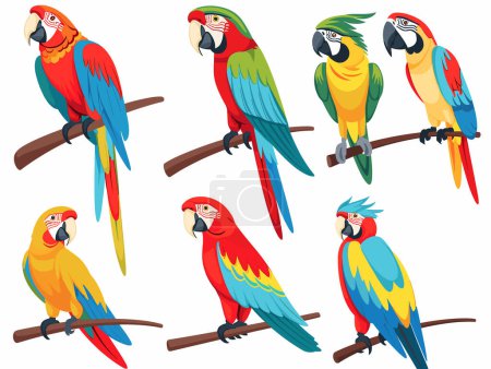 Sechs bunte Papageien sitzen auf Sitzstangen, leuchtende Federn, abwechslungsreiche Posen, Cartoon-Stil, tropische Vögel. Exotische Aras rot blau gelb grün Gefieder, Wildtiere Thema, Barsche Illustrationen. Helle Vögel