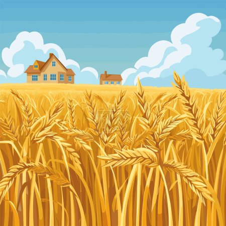 Golden wheat field ripe harvest, farmhouses background under blue sky fluffy clouds. Wheat stalks up close, countryside farming landscape, warm summer fall harvest scene. Amber grains waving gently