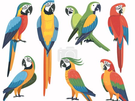 Colorful parrots sitting perches, vibrant feathers, varied poses, cartoon style, tropical birds. Exotic macaws red blue yellow green plumage, wildlife theme, perching illustrations. Bright avian