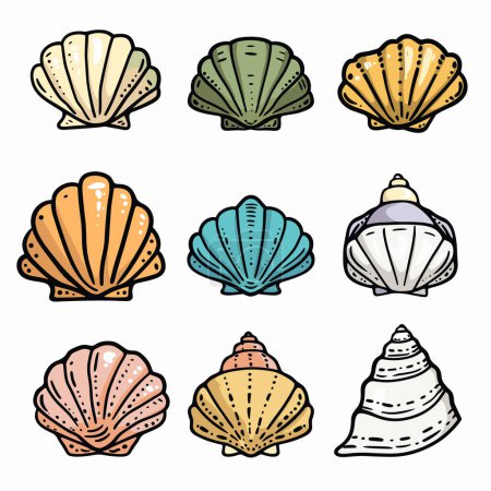 Set colorful seashell illustrations isolated white background. Various types seashells, marine design elements, handdrawn style, ocean treasures. Collection distinctive sea shells, artistic