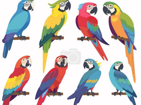 Collection colorful parrots sitting perches, vector illustration. Bright feathers blue, yellow, green, red. Tropical birds various poses artwork