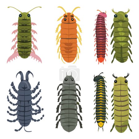 Six various cartoon centipedes different colors poses, centipede has unique body segments, antennae, legs, showcasing diversity. Bright colors, playful design, catered entomology enthusiasts