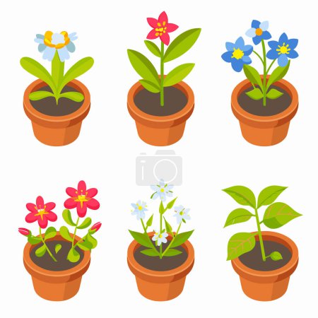 Six colorful potted plants featuring different flower species foliage. Vibrant vector illustrations houseplants suitable home decoration gardening enthusiasts. Flower pots contain blue, pink, red