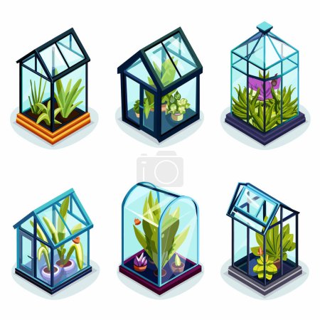 Isometric terrariums housing diverse plants. Glass enclosures contain flora fauna, showcasing greenery botanical variety