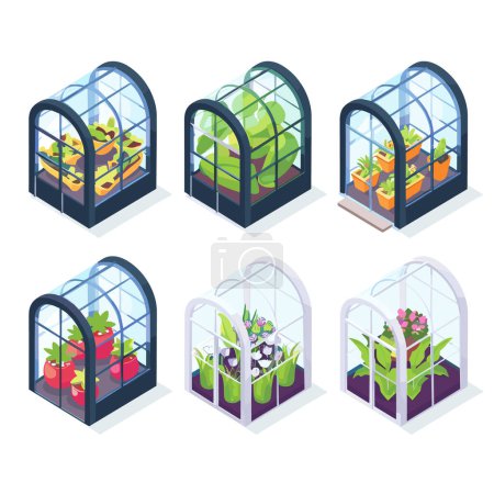 Isometric greenhouses various plants, vegetables, flowers. Illustrations depicting agriculture, horticulture, sustainable farming practices. Plants appear be healthy wellmaintained, suggesting