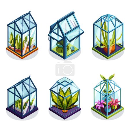 Six miniature glass greenhouses containing various plants, rendered isometric style, terrarium features different types flora, distinct shapes colors. Terrariums serve decorative elements plant