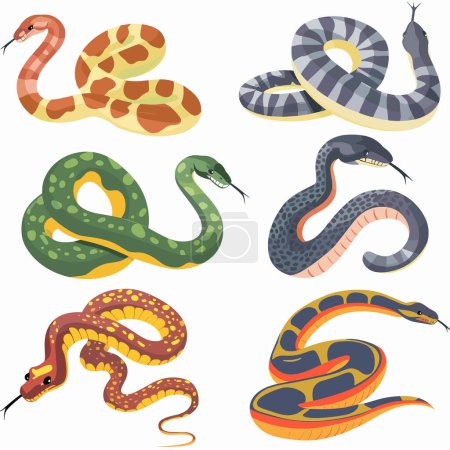 Verschiedene bunte Schlangen illustrierten den Cartoon-Stil. Sechs verschiedene Arten Schlangen präsentieren Muster Farben. Illustration geeignetes Lehrmaterial über Reptilien