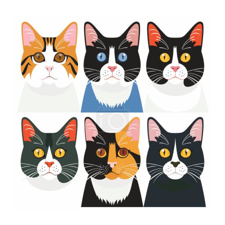 Six colorful cat faces illustrated flat design style, cat features distinctive fur patterns unique combination eye colors, suggesting different breeds