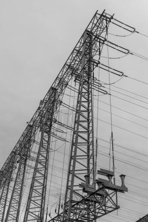 Foto de Líneas de transmisión de electricidad en monocromo al atardecer - Imagen libre de derechos