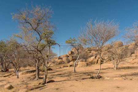 Foto de El paisaje de las montañas Erongo en Namibia - Imagen libre de derechos