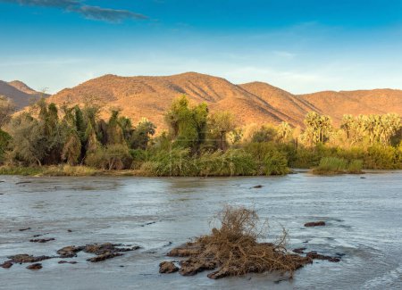 Photo for Landscape on the banks of the Kunene River, the border river between Namibia and Angola - Royalty Free Image