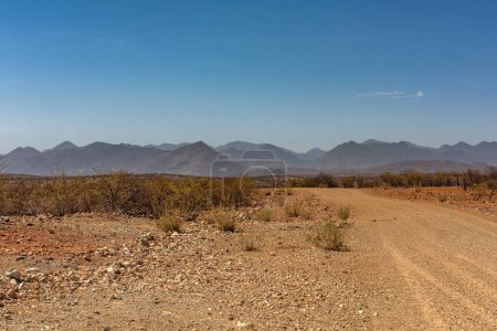 Téléchargez les photos : La route de gravier poussiéreuse le long de la rivière Kunene dans le nord de la Namibie - en image libre de droit