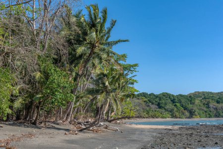 Foto de Playa tropical en la isla de cebaco, Panamá - Imagen libre de derechos