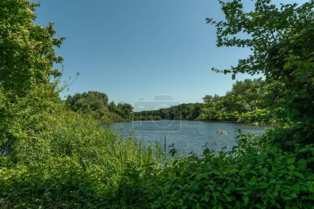 Photo for The Enkheimer Ried nature reserve in the east of the Frankfurt district of Bergen-Enkheim - Royalty Free Image