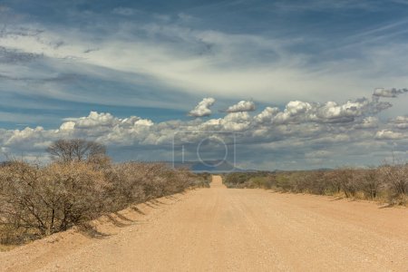 Téléchargez les photos : Route de gravier non asphaltée dans le nord de la Namibie - en image libre de droit