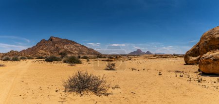 Téléchargez les photos : Vue des formations rocheuses de la réserve naturelle de Spitzkoppe, Namibie - en image libre de droit