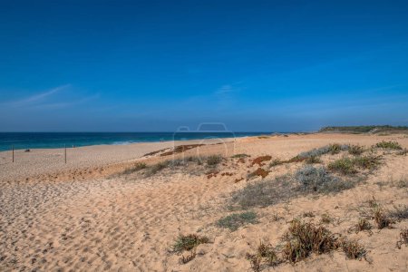 Photo for View of Melides beach, Alentejo, Portugal - Royalty Free Image