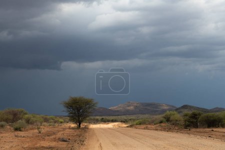 Téléchargez les photos : Nuages de pluie sur le paysage près d'Omaruru, Namibie - en image libre de droit