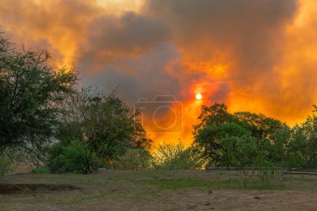 Photo for Bushfires on the Kwando River, Zambezi Region, Namibia - Royalty Free Image