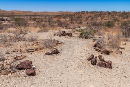 Photo for Petrified and mineralized tree trunks, Khorixas, Damaraland, Namibia - Royalty Free Image