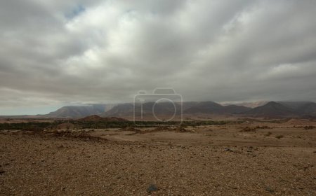 Téléchargez les photos : Brouillard matinal à Brandberg Mountain, Damaraland, Namibie - en image libre de droit