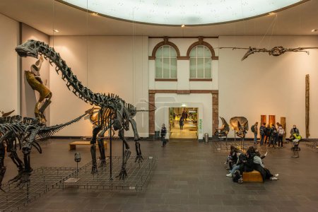 Téléchargez les photos : FRANKFURT AM MAIN, ALLEMAGNE-MARS 09, 2022 : Visiteurs au Musée d'histoire naturelle de Senckenberg, Francfort, Allemagne - en image libre de droit