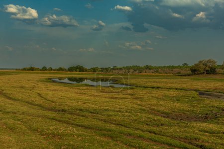 View of the landscape at the Chobe River in Botswana