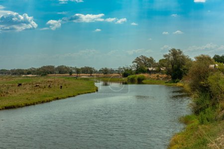 Vue du paysage de la rivière Chobe au Botswana