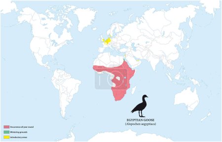 Ilustración de Mapa de la distribución y hábitat del ganso egipcio - Imagen libre de derechos