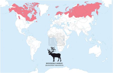 Ilustración de Mapa de la distribución y hábitat de los renos, caribú - Imagen libre de derechos