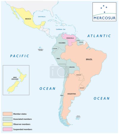 Illustration for Map of the international economic organization in Latin America Mercosur - Royalty Free Image