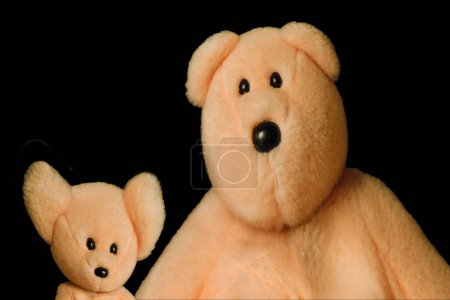 Téléchargez les photos : Ours en peluche et bébé ours isolés sur un fond noir - en image libre de droit