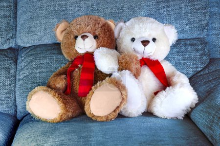 Two teddy bears with linked arms