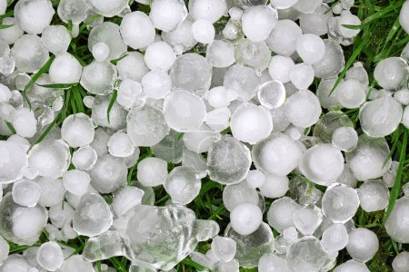 Hail on grass in close up