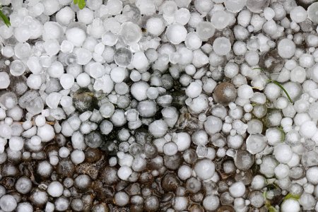 Hailstones on a garden floor in close up