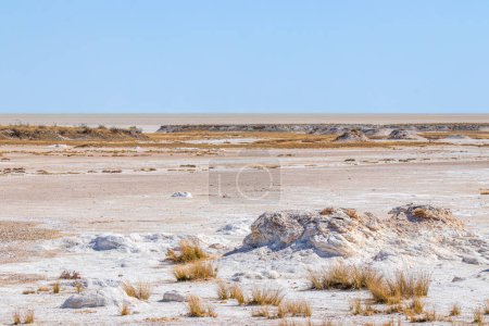 Téléchargez les photos : Vue spectaculaire sur la salière du parc national d'Etosha, Namibie. - en image libre de droit