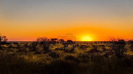 Foto de Una puesta de sol impresionante, Reserva de caza de Onguma, Namibia. - Imagen libre de derechos