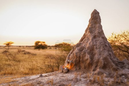Foto de Gran montículo de termitas en el típico paisaje africano al atardecer, Reserva de caza de Onguma, Namibia. - Imagen libre de derechos