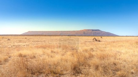 Téléchargez les photos : Parc national du Plateau-Waterberg, Namibie. - en image libre de droit