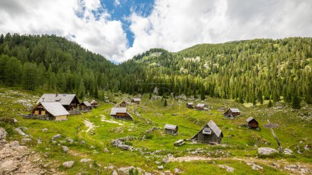 Foto de Hermosas cabañas de madera se encuentran cerca de un bosque de pinos cubierto de montaña en los tranquilos Alpes Julianos en camino a los Siete Lagos de Triglav, Parque Nacional de Triglav, Eslovenia. - Imagen libre de derechos