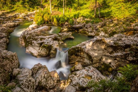 Téléchargez les photos : Belle gorge de Mostnica avec de l'eau verte près de Bohinj, Slovénie. - en image libre de droit