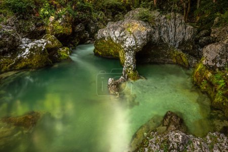 Téléchargez les photos : Célèbre rocher appelé éléphant (sloncek) dans les gorges de Mostnica (Korita Mostnice), Bohinj, Parc national du Triglav, Slovénie
. - en image libre de droit