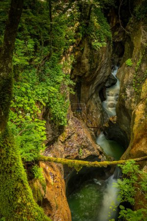 Photo for Deep canyon or gorge of Mostnica river, Bohinj, Triglav National Park, Slovenia - Royalty Free Image