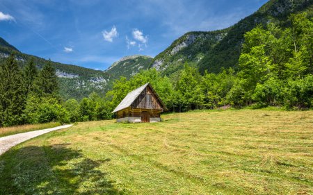 Téléchargez les photos : Vue sur un joli chalet en bois dans la vallée de Voje, près des gorges de Mostnica. Slovénie. - en image libre de droit